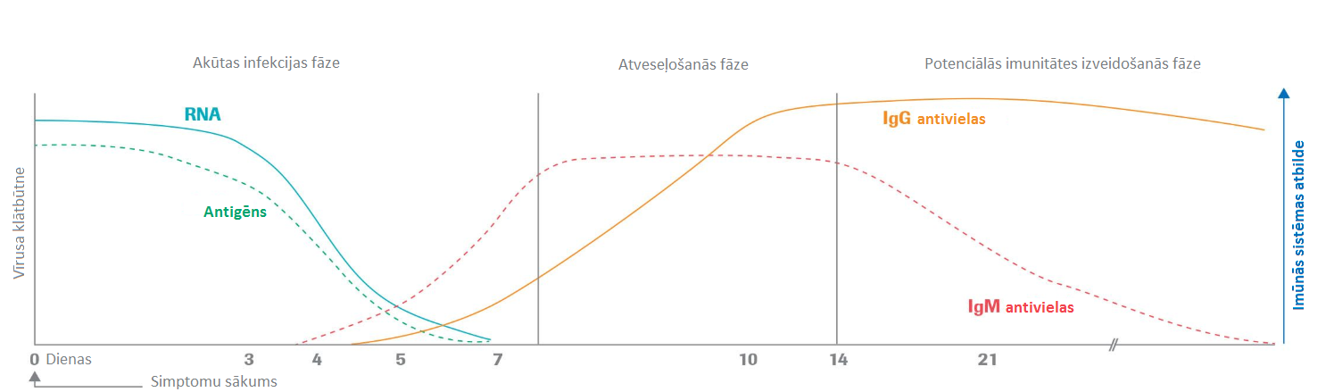 Ilustratīvā SARS-CoV-2 infekcijas gaita